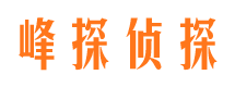 禄丰找人公司